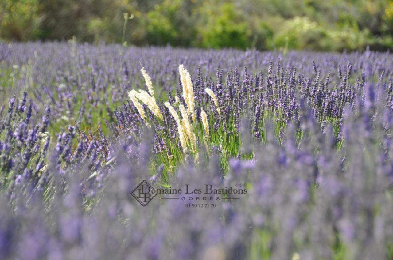 Domaine Les Bastidons Βίλα Gordes Εξωτερικό φωτογραφία